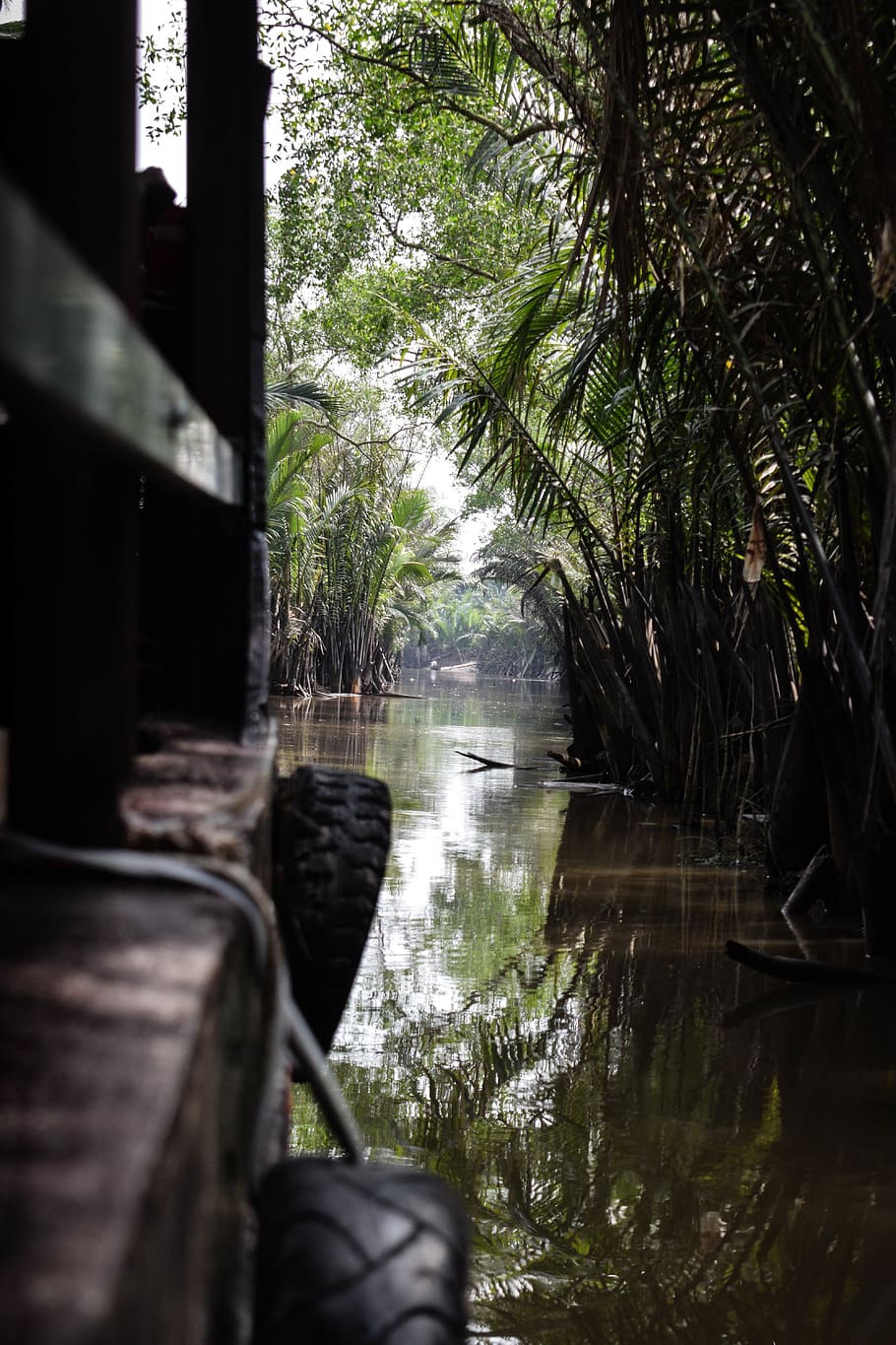 HD wallpaper: vietnam, ho chi minh city, water, plant, tree, nature ...