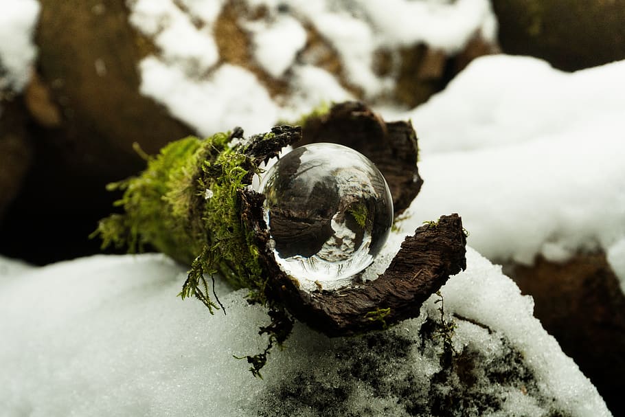 nature, snow, winter, cold, wood, background, ball, mirroring HD wallpaper