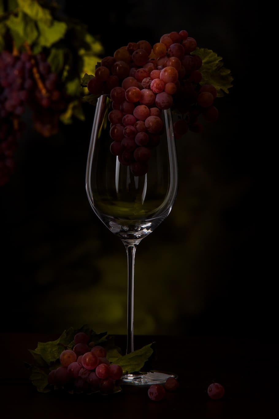 grapes, wine glass, vines, vintage, drink, fruit, autumn, winegrowing