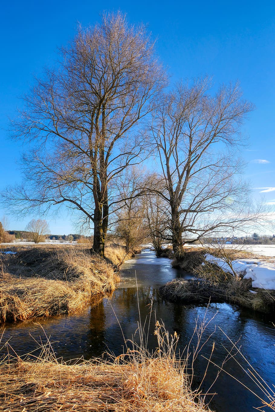 bach, winter, creek, wintry, nature, landscape, water, trees HD wallpaper