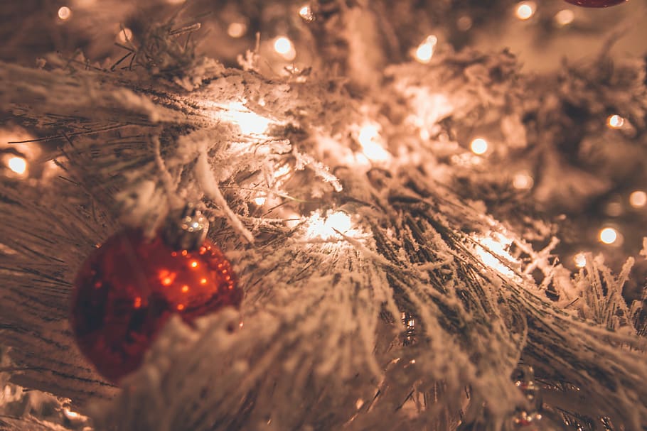 white Christmas tree, celebration, christmas decoration, holiday HD wallpaper