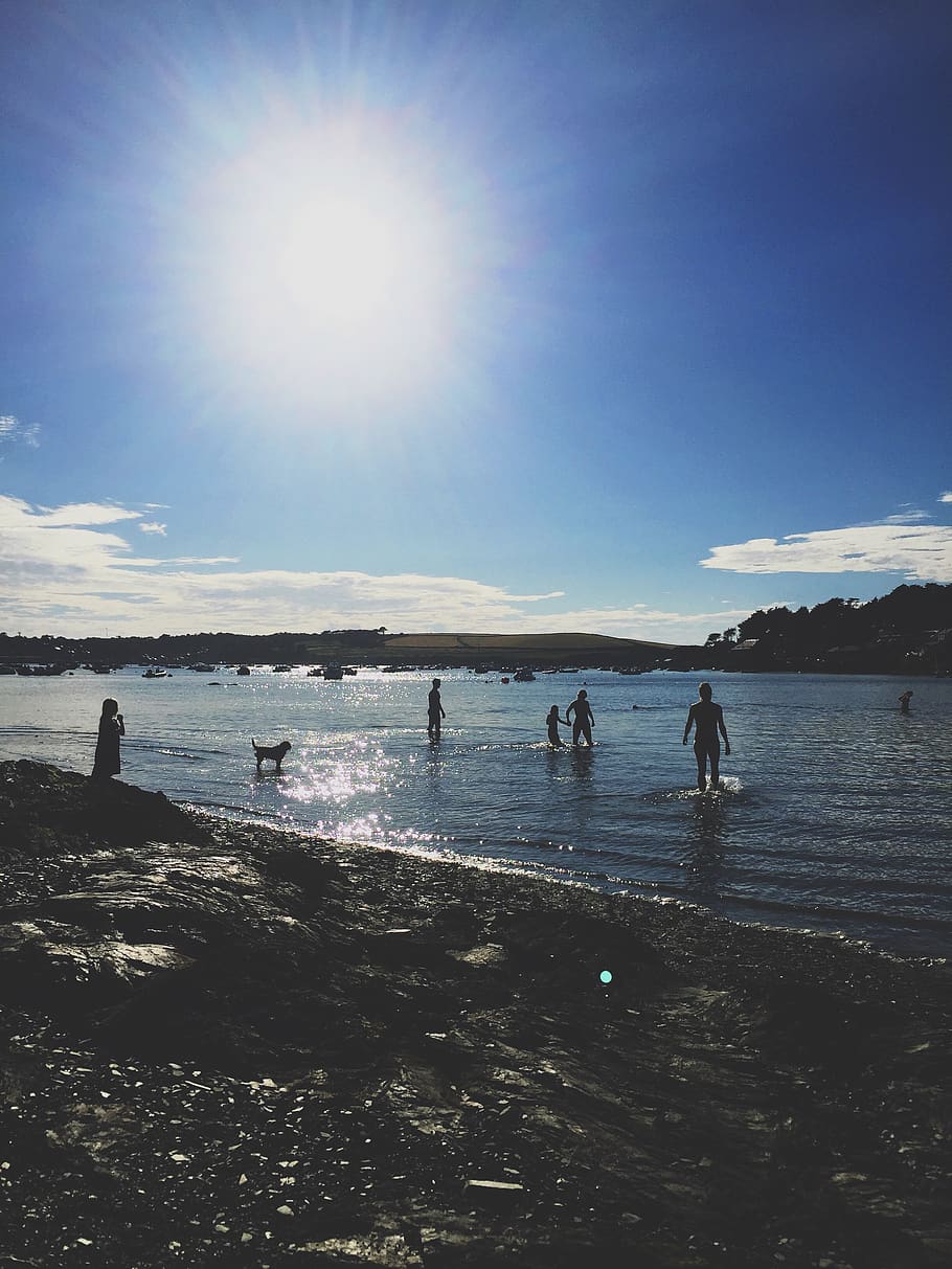 Group of People Standing on Shores, backlit, beach, daylight HD wallpaper