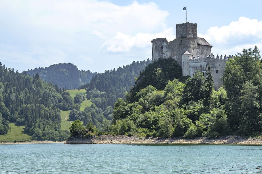 Body of Water Near Trees during Daytime, architecture, castle HD wallpaper