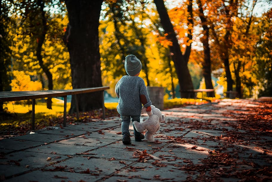 kid, bear, leaf, leaves, tree, forest, woodland, park, garden HD wallpaper