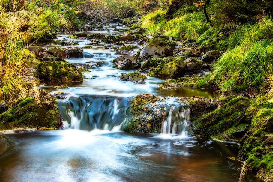 Body of Water Surrounded by Grasses, cascade, environment, flow HD wallpaper