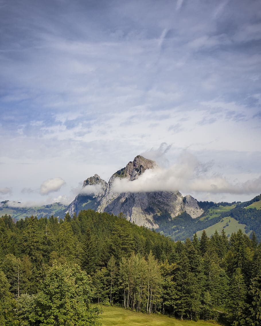 switzerland, stoos, tree, beauty in nature, plant, scenics - nature HD wallpaper