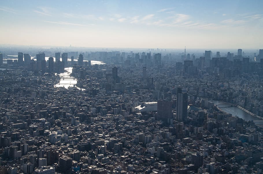 tokyo, japan, city, skyline, architecture, travel, japanese