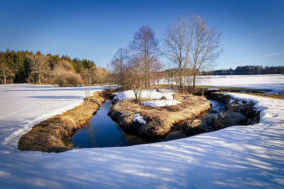 winter, snow, tree, landscape, cold, nature, wintry, snow landscape HD wallpaper
