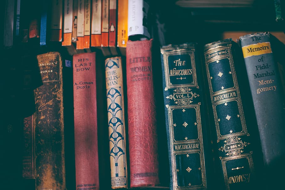 books on shelf, publication, text, indoors, education, literature HD wallpaper