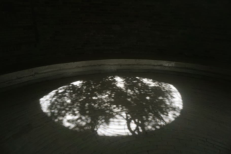 shadow, no people, indoors, nature, high angle view, circle HD wallpaper