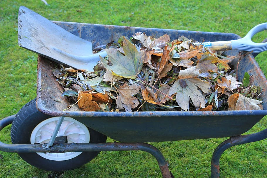 wheelbarrow, tools, garden, work, equipment, shovel, leaves