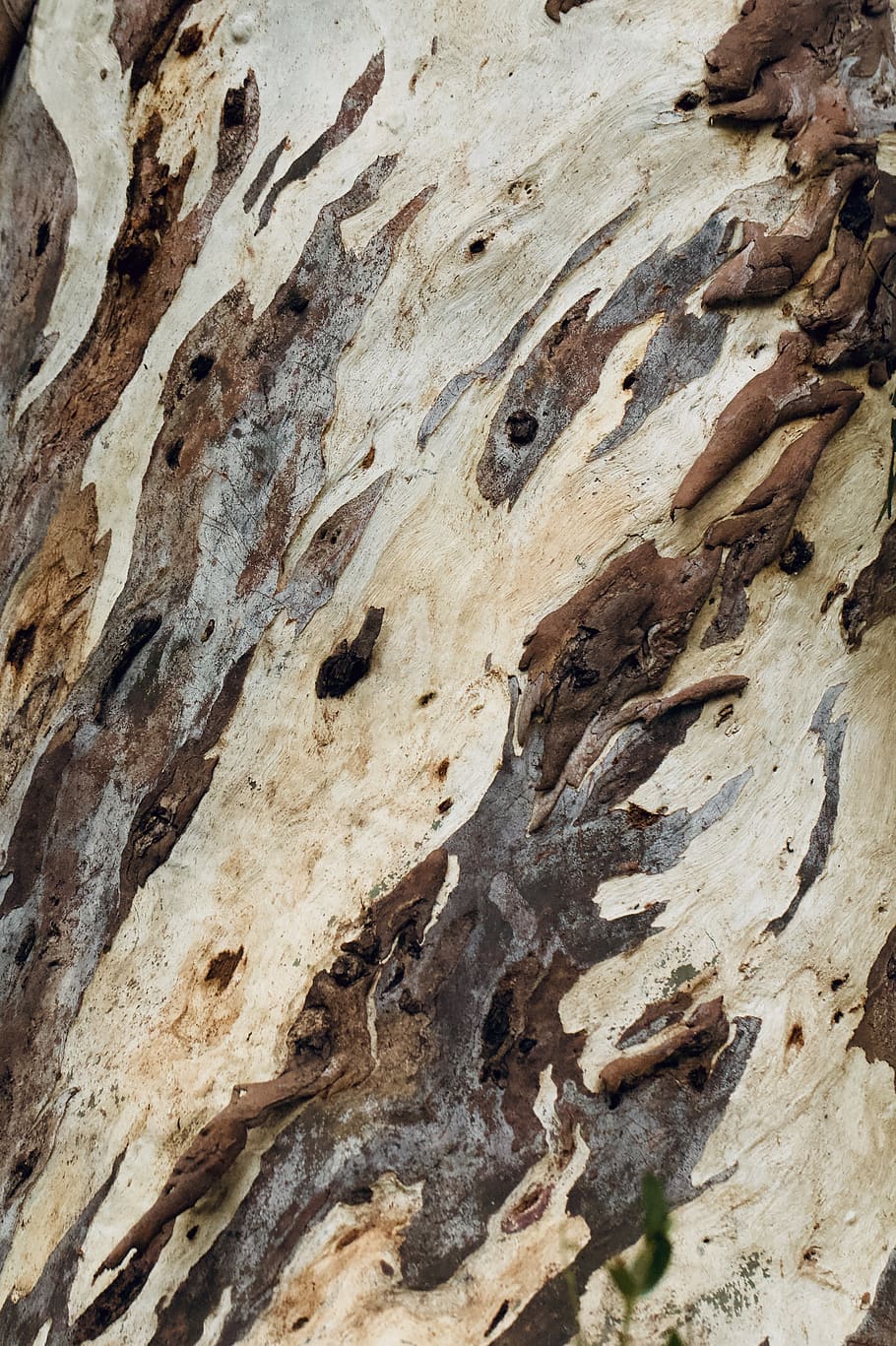brown rock, full frame, backgrounds, no people, pattern, textured HD wallpaper