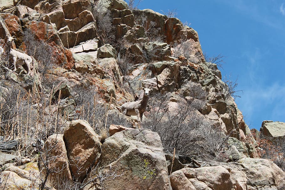 rock, solid, rock - object, rock formation, nature, day, beauty in nature HD wallpaper