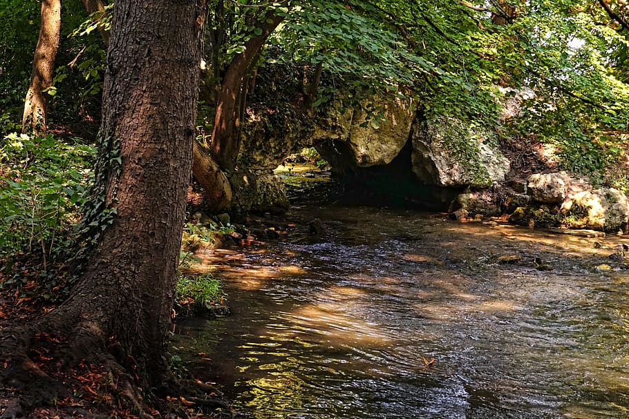 nature, bach, bridge, water, forest, rock, creek, flowing, stones HD wallpaper