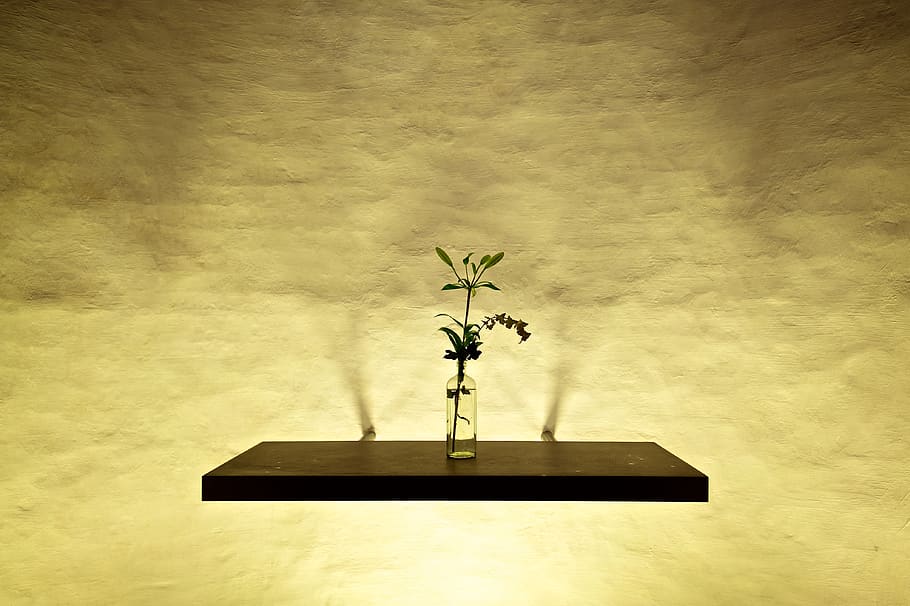 church, worship, plant, still life, shelf, wall, minimalism