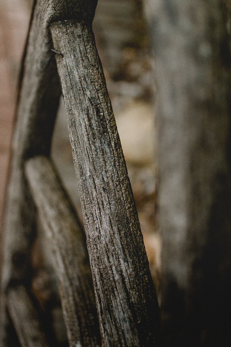 wood, tree, plant, texture, objects, abandoned, antique, wheel HD wallpaper