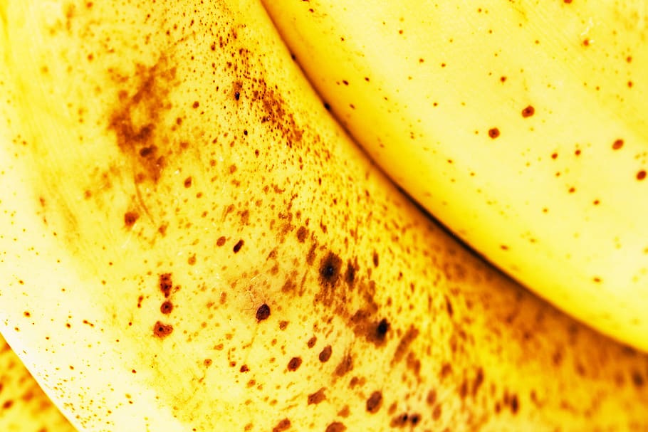 close-up, closeup, diet, dieting, eating, food, fresh, freshness HD wallpaper