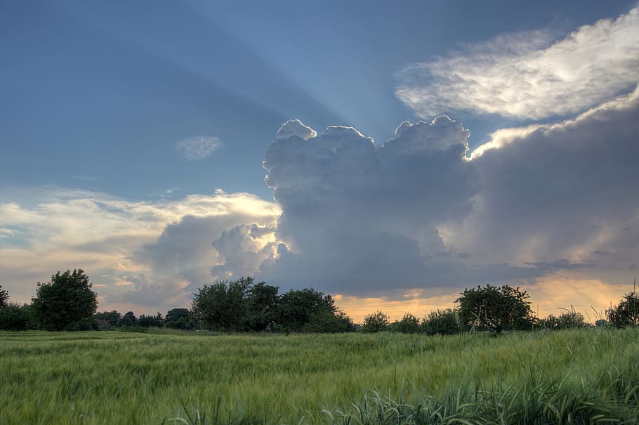 thundercloud, field, enghien, nature, agriculture, sky, cloud - sky HD wallpaper