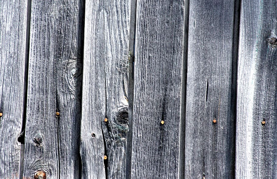tree, grey, background, texture, nails, old tree, knots, wood - material HD wallpaper