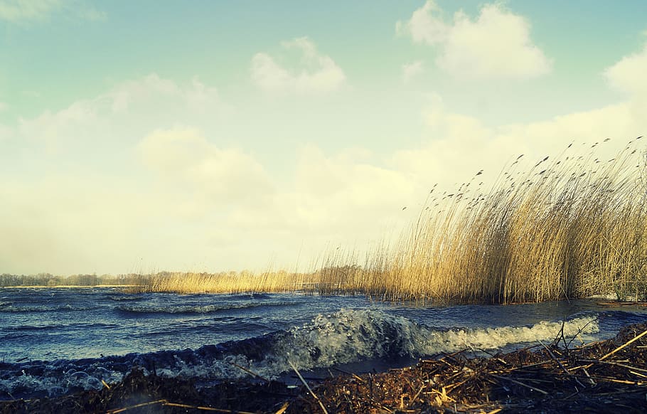 wave, wind, forward, inject, water, energy, seascape, maritime HD wallpaper