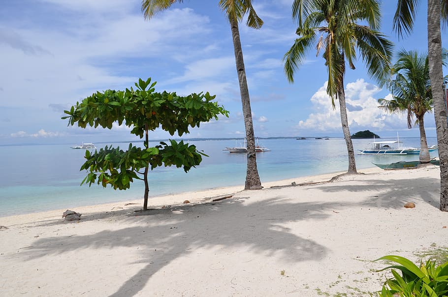 philippines, daanbantayan, malapascua island, white sand, beach, HD wallpaper