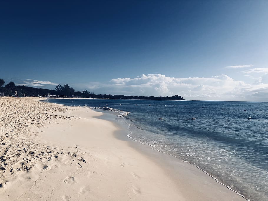 mexico, nature, natural, waves, ocean, sand, water, beach, tree HD wallpaper