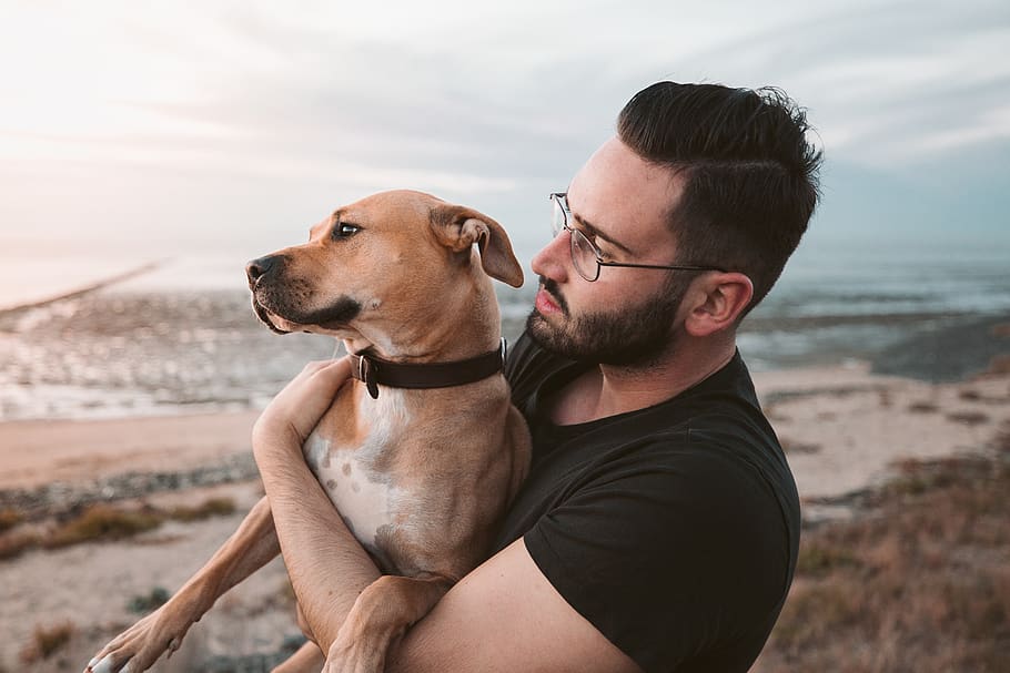 man holding a brown dog, canine, pets, animal themes, one animal HD wallpaper