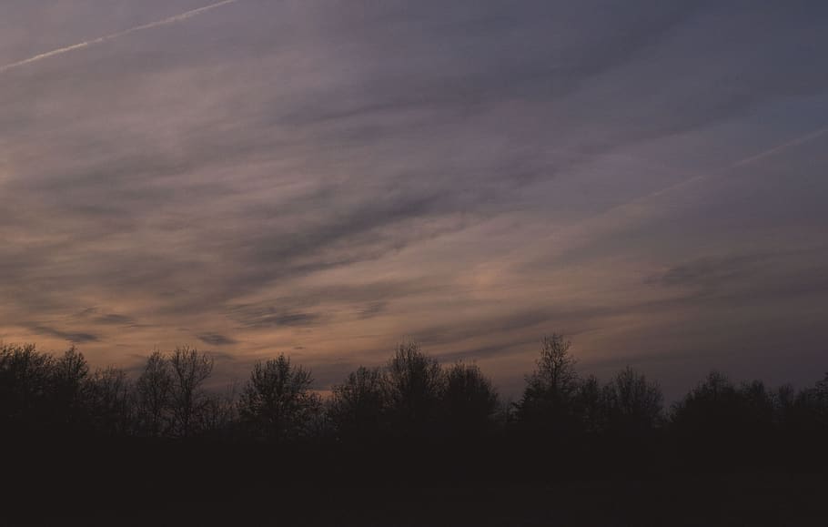 trees, travel, sunset, sky, cloud - sky, tranquility, beauty in nature HD wallpaper