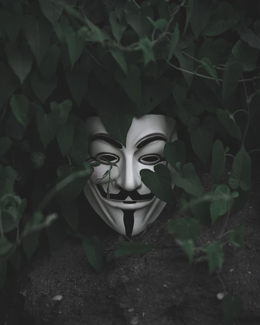 Guy Fawkes mask on green leafed plant, clothing, footwear, shoe