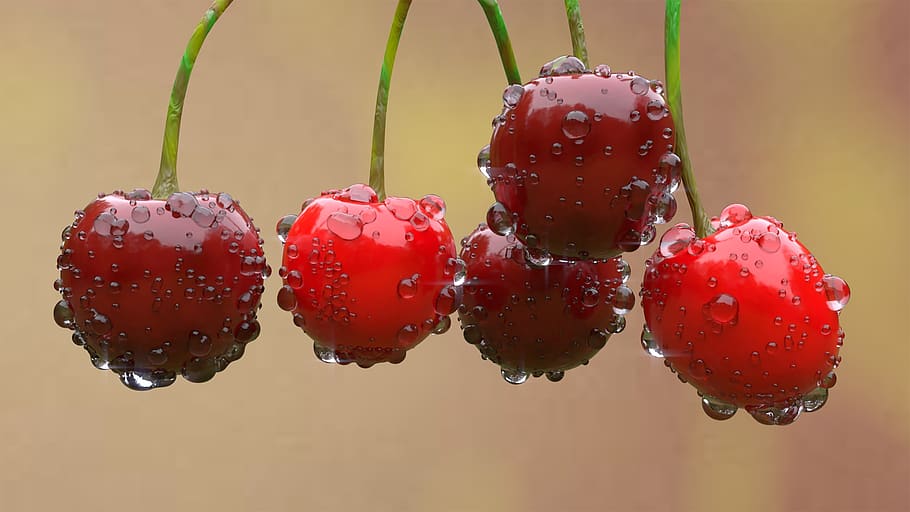 cherry, red, fruit, mature, sweet, the tree, delicious, healthy HD wallpaper