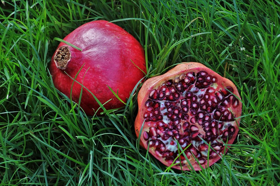 pomegranate, pips, fruit, grass, przekrojony, eat, sweet, mature HD wallpaper