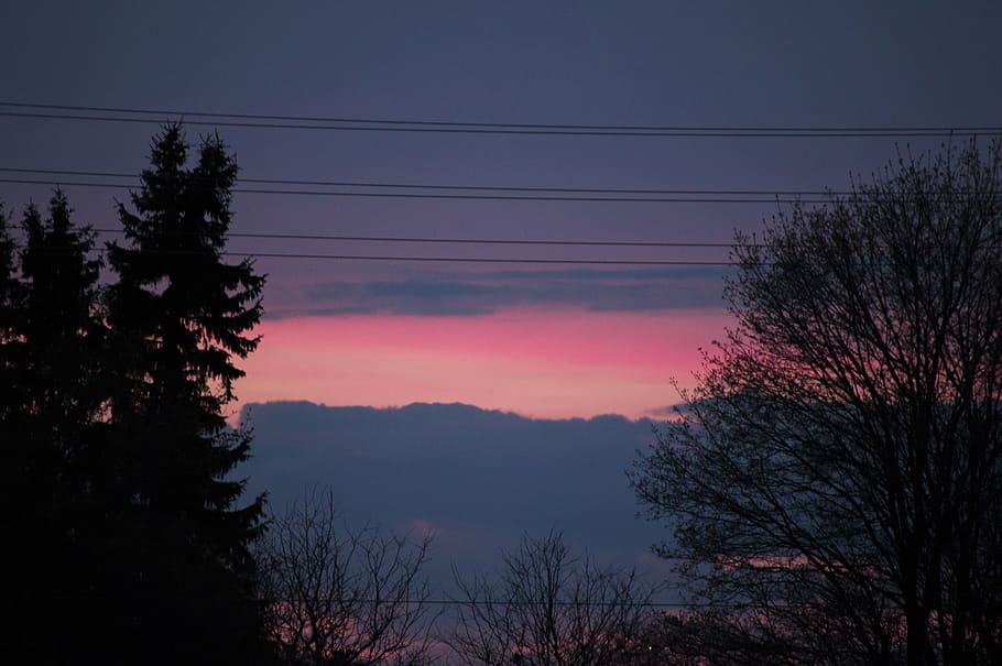 canada, toronto, tree, sky, cable, electricity, plant, silhouette HD wallpaper