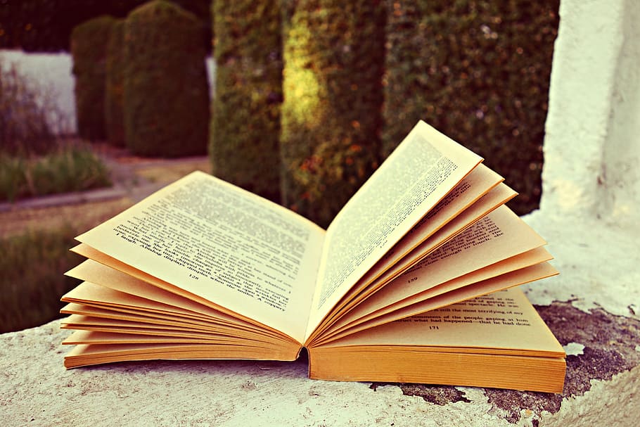 Opened Book, knowledge, literature, pages, publication, no people HD wallpaper