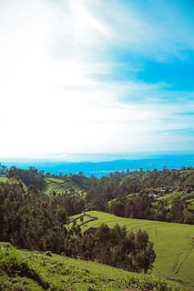 ethiopia, plant, tree, sky, scenics - nature, beauty in nature HD wallpaper