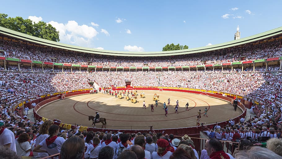 spain, pamplona, crowd, group of people, large group of people HD wallpaper