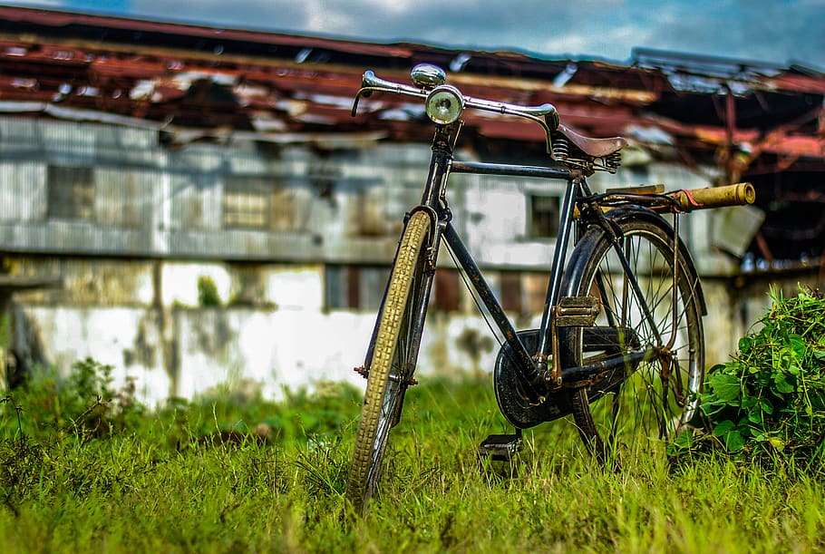 black city bicycle, plant, transportation, day, no people, mode of transportation HD wallpaper