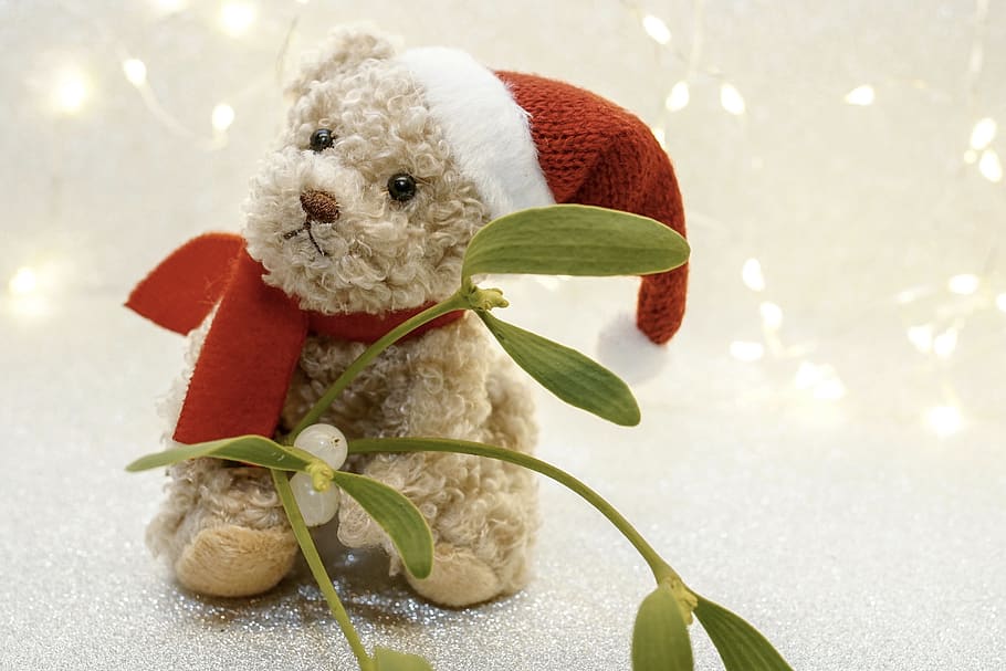 christmas, advent, teddy, teddy bear, nicholas, cute, sweet HD wallpaper