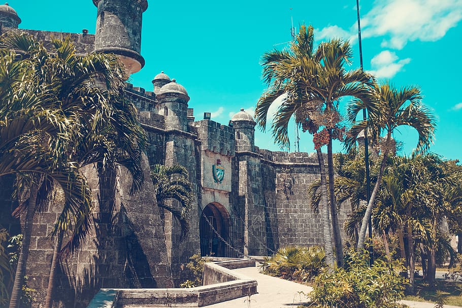 cuba, havana, tree, palm tree, tropical climate, architecture HD wallpaper