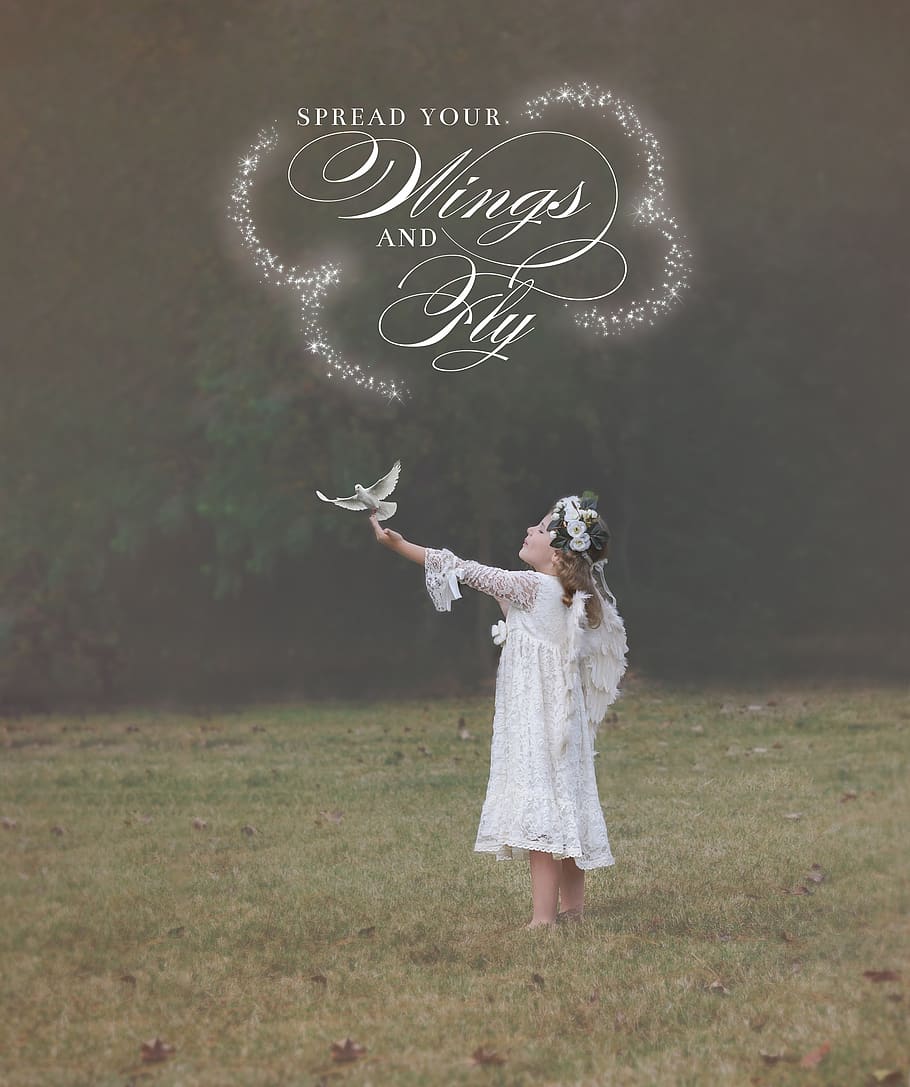 wings, fly, bird, dove, nature, fantasy, heavenly, magic, fairy HD wallpaper