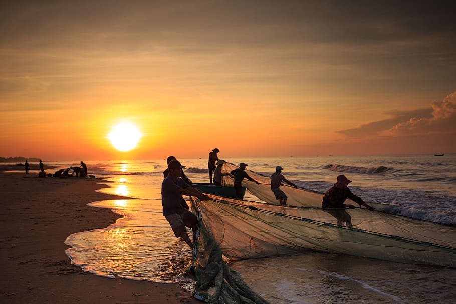 the fishermen, vietnam, fishing, the beach, binh thuan, work, HD wallpaper