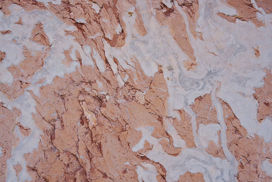 brown and beige surface, purple, flora, plant, tree, tree trunk HD wallpaper