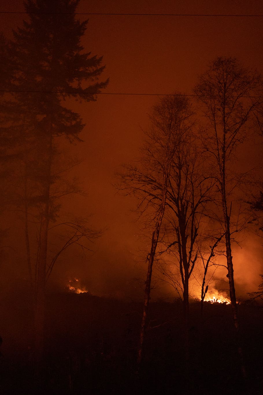 fire near trees, forest fire, wildlife, nature, outdoors, exploring HD wallpaper
