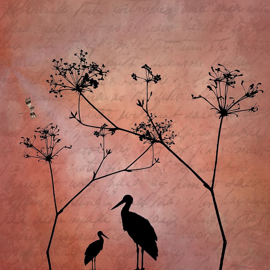birds, plants, shadows, paper, texture, art, rough, vertebrate HD wallpaper