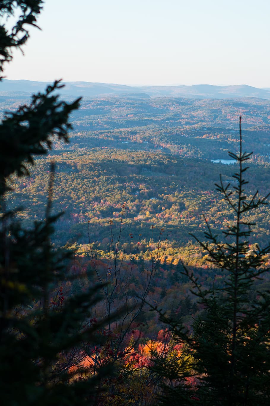 foliage, fall, trees, autumn, mountain, hike, plant, scenics - nature HD wallpaper