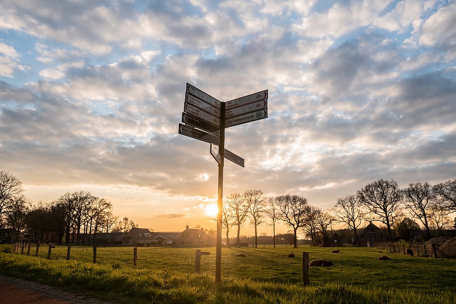 sunset, sign, clouds, sheep, sky, landscape, cloud - sky, field HD wallpaper