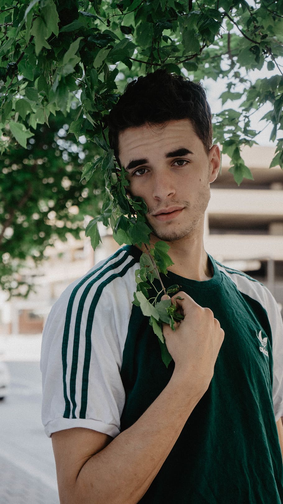 green, leaf, adidas, model, male, portrait, young adult, one person HD wallpaper
