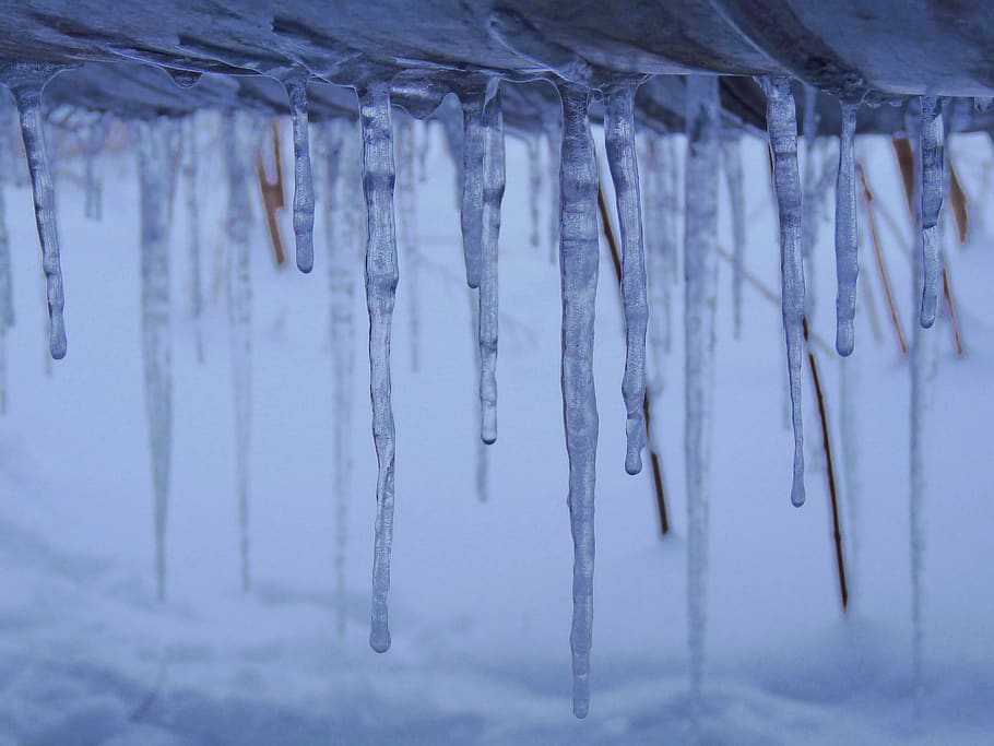 cold temperature, winter, icicle, snow, ice, frozen, environment HD wallpaper