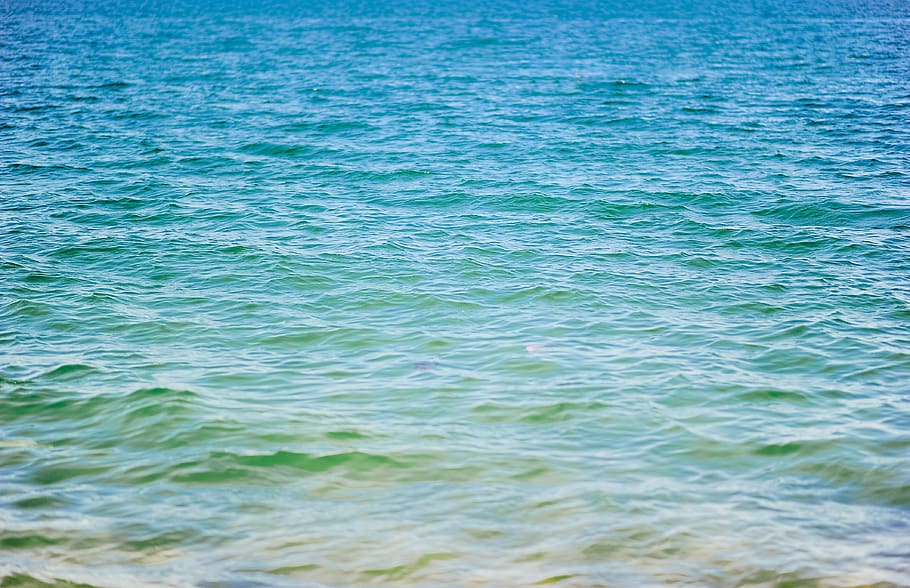 Green Sea, bright, daytime, h2o, liquid, ocean, seascape, surface HD wallpaper