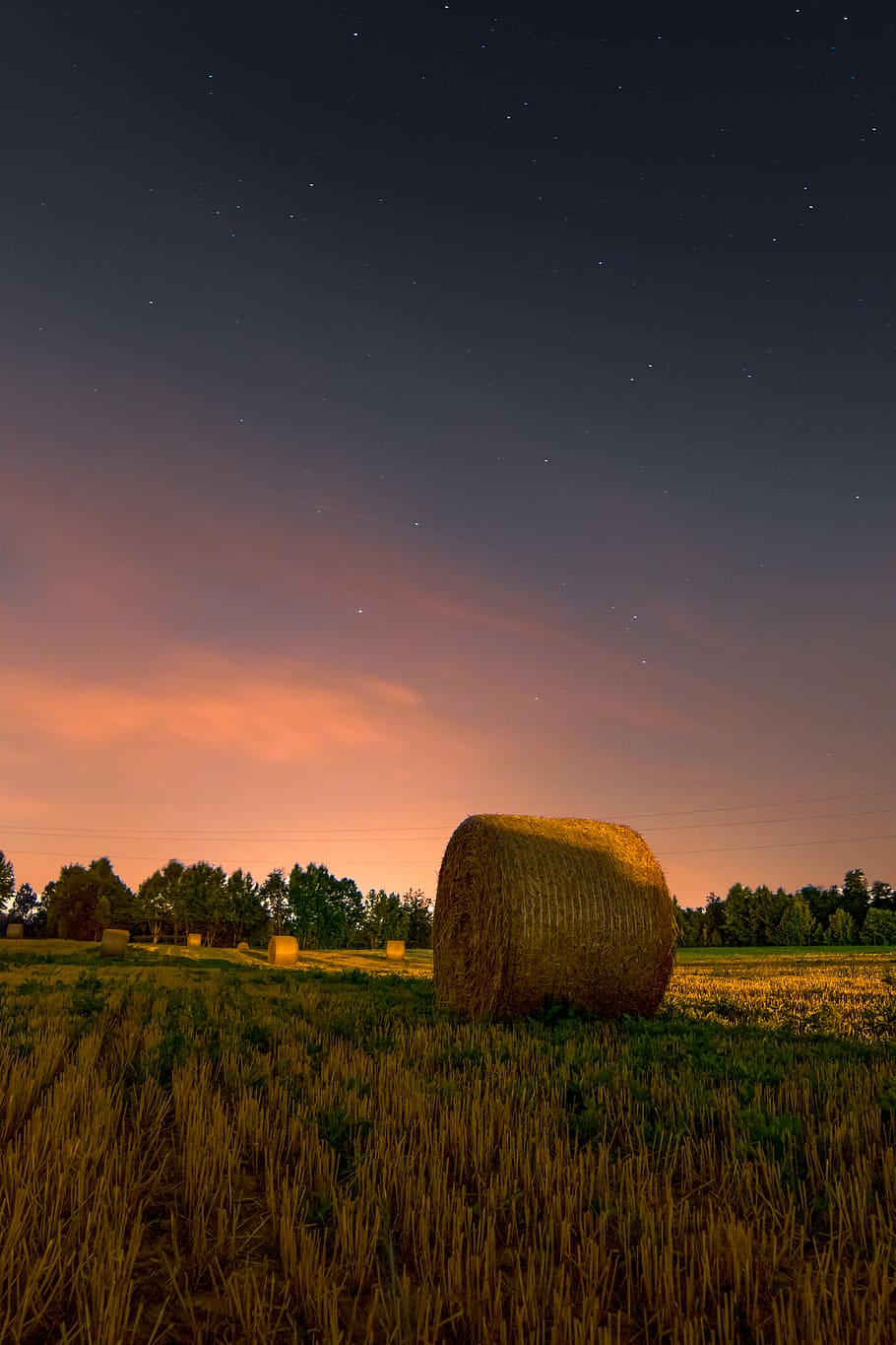 brown hay and clear sky at night, field, agriculture, plant, land, HD wallpaper