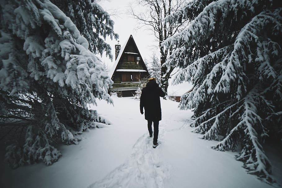 man walking on snow, human, person, tree, plant, abies, fir, nature HD wallpaper